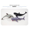 6入仿真海洋動物模型(小隻)(硬材質)(安全塑料)