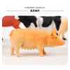 6入仿真農場動物模型(小隻)(硬材質)(安全塑料)
