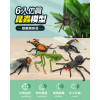 6入仿真昆蟲模型(大隻)(螳螂蜘蛛版)(安全塑料)