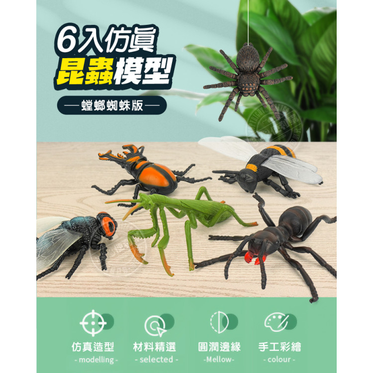 6入仿真昆蟲模型(大隻)(螳螂蜘蛛版)(安全塑料)