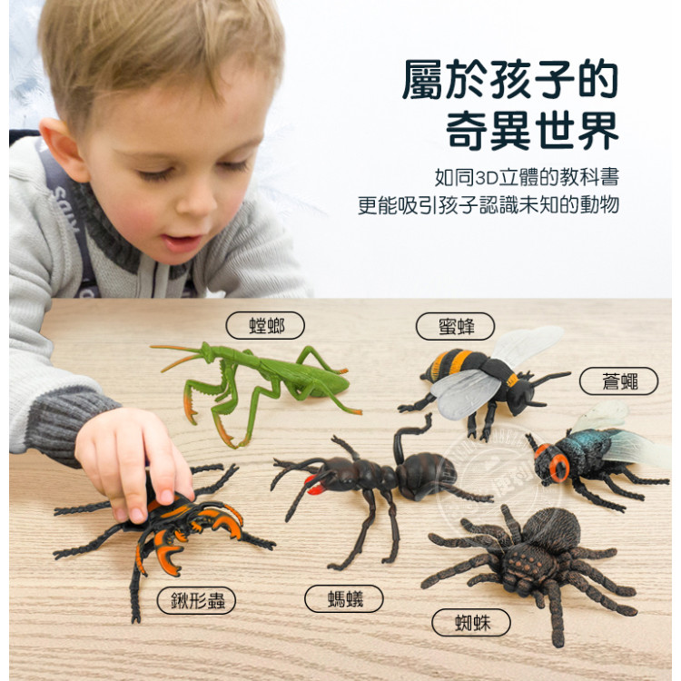 6入仿真昆蟲模型(大隻)(螳螂蜘蛛版)(安全塑料)