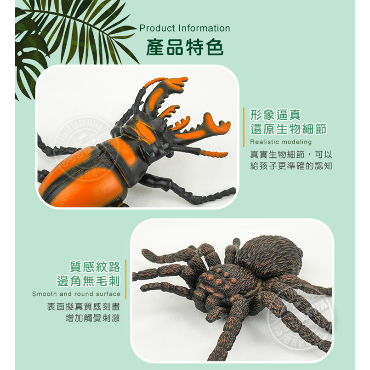 6入仿真昆蟲模型(大隻)(螳螂蜘蛛版)(安全塑料)