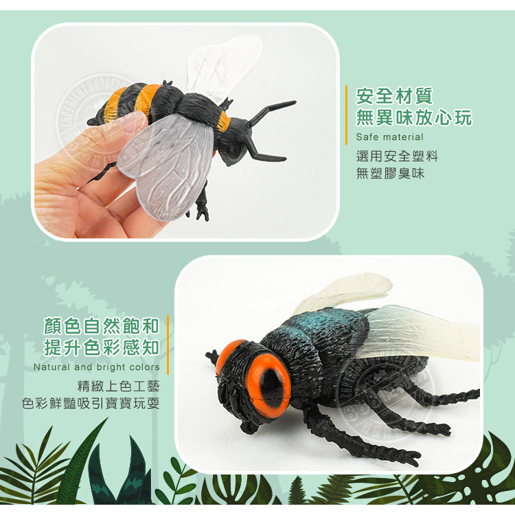 6入仿真昆蟲模型(大隻)(螳螂蜘蛛版)(安全塑料)