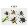 6入仿真昆蟲模型(大隻)(螳螂蜘蛛版)(安全塑料)