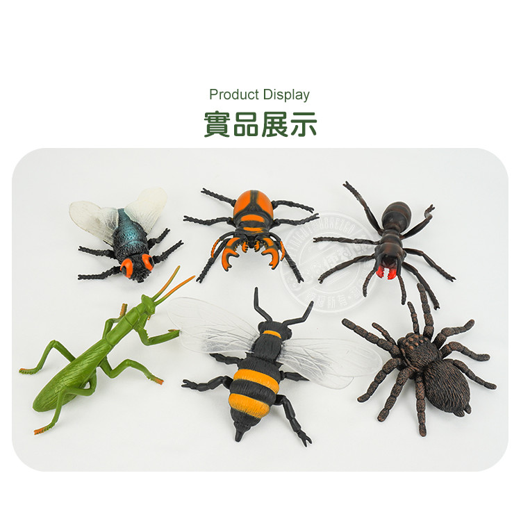 6入仿真昆蟲模型(大隻)(螳螂蜘蛛版)(安全塑料)