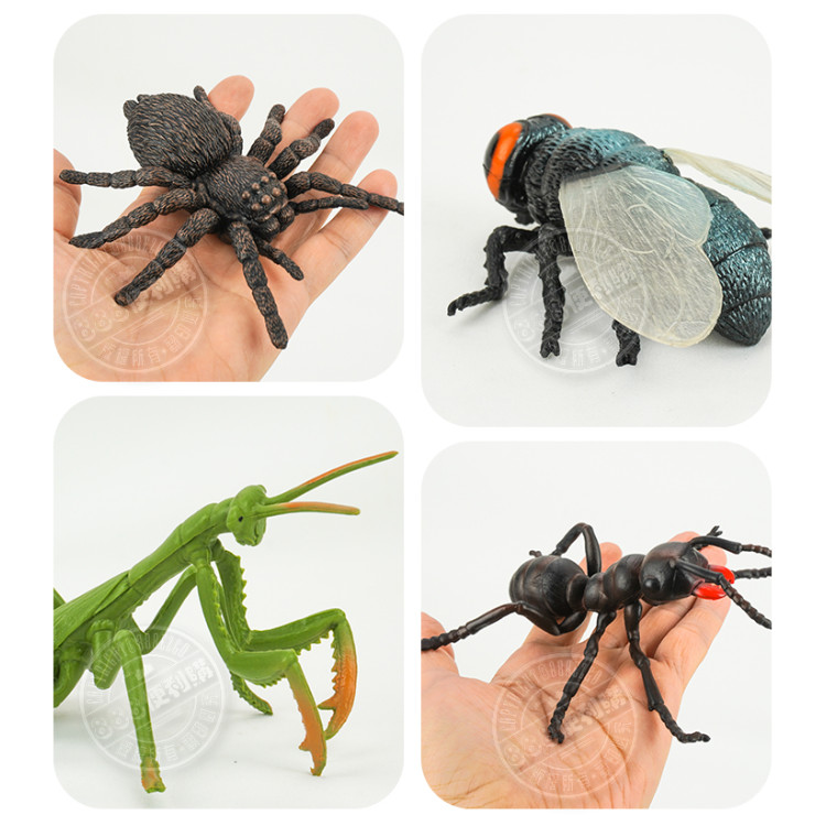 6入仿真昆蟲模型(大隻)(螳螂蜘蛛版)(安全塑料)
