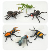 6入仿真昆蟲模型(大隻)(螳螂蜘蛛版)(安全塑料)