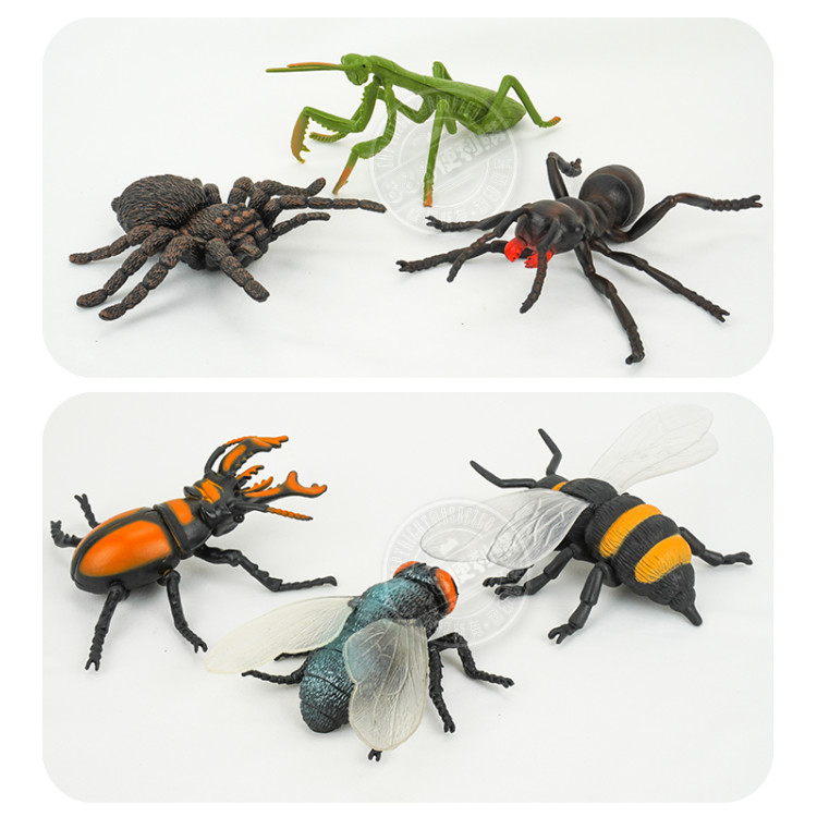 6入仿真昆蟲模型(大隻)(螳螂蜘蛛版)(安全塑料)