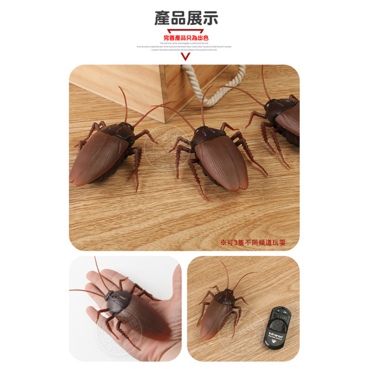 紅外線仿真遙控蟑螂(遙控蜘蛛)(授權)