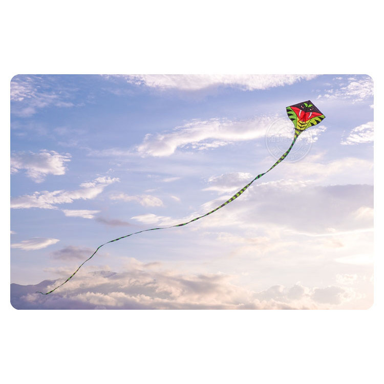 15公尺霸王眼鏡蛇造型長尾風箏 (無法超商取貨)