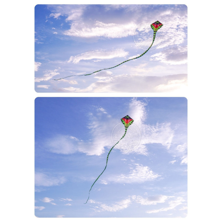 15公尺霸王眼鏡蛇造型長尾風箏 (無法超商取貨)