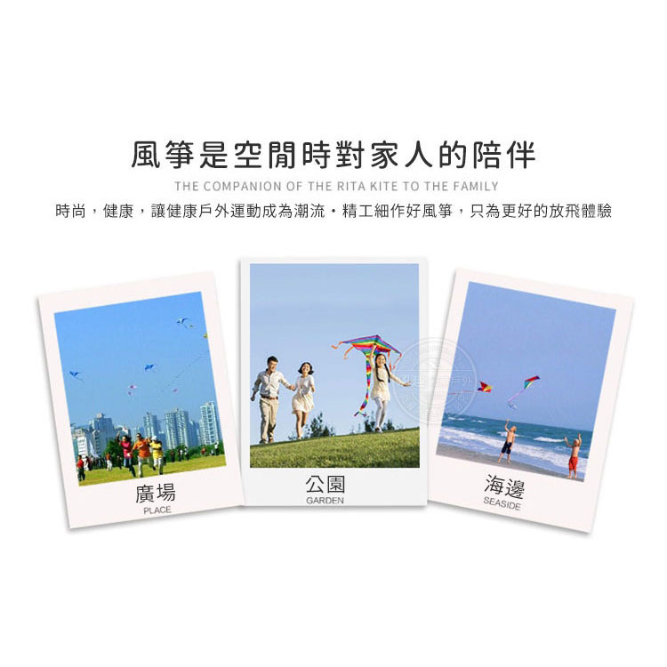 大老鷹造型風箏(1.7米前桿式) (無法超商取貨)