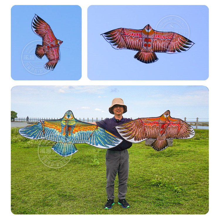 大老鷹造型風箏(1.7米前桿式) (無法超商取貨)