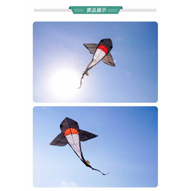 黑色大鯊魚造型風箏(180*361) (無法超商取貨)