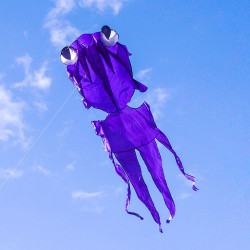 大眼金魚造型風箏(軟式風箏)