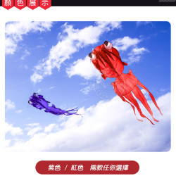 大眼金魚造型風箏(軟式風箏)