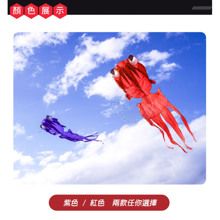 大眼金魚造型風箏(軟式風箏)