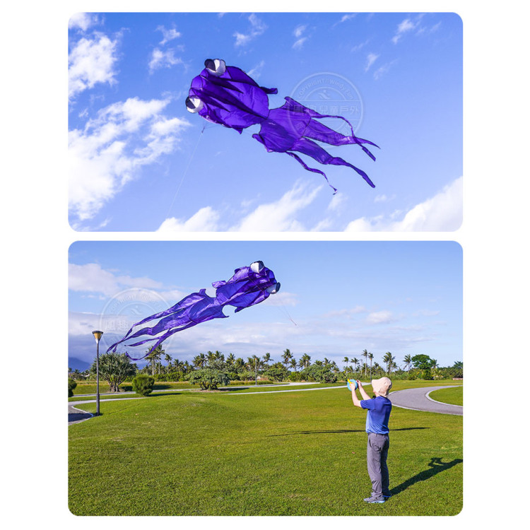 大眼金魚造型風箏(軟式風箏)