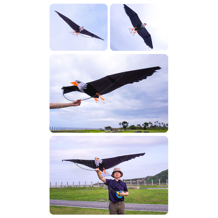 3D立體白頭鷹造型風箏(美國老鷹)(2米前桿式)(全配/附150米輪盤線) (無法超商取貨)