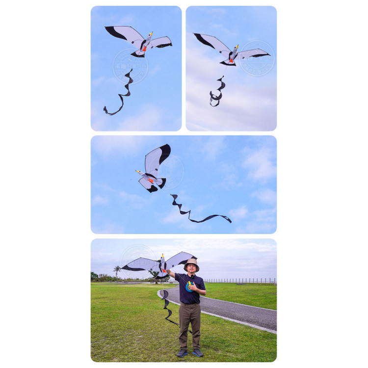 3D立體海鷗造型風箏(140*204)(全配/附150米輪盤線) (無法超商取貨)