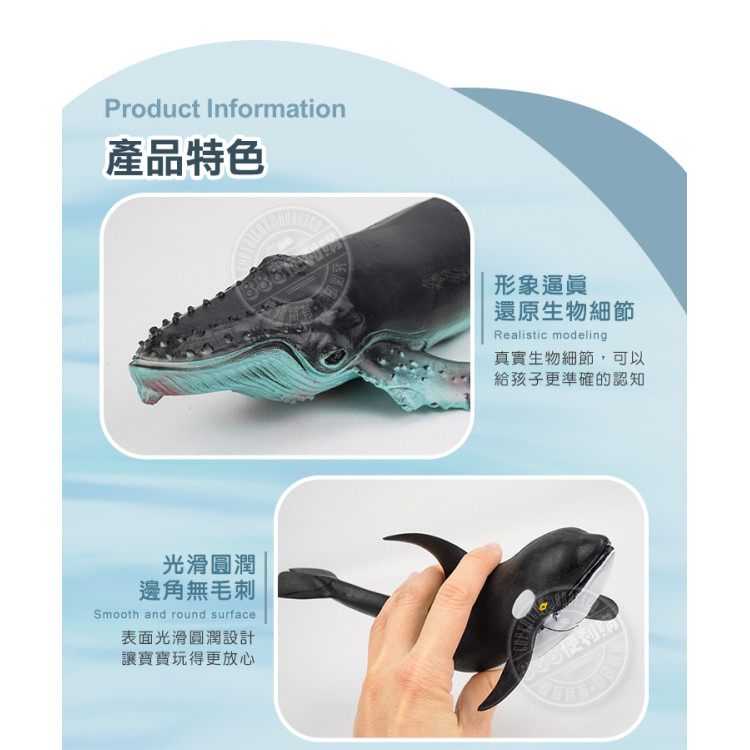 5入海洋鯨豚鯊魚模型(中型)(軟材質)(安全塑料)(HY8006)