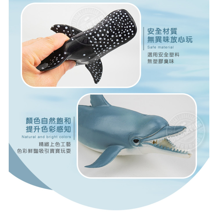 5入海洋鯨豚鯊魚模型(中型)(軟材質)(安全塑料)(HY8006)