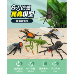 6入仿真昆蟲模型(大隻)(螳螂蜘蛛版)(安全塑料)