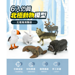 6入仿真極地動物模型(大隻)(北極鳥海鸚版)(安全塑料)