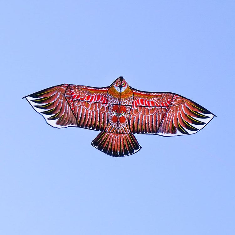 大老鷹造型風箏(1.7米前桿式) (無法超商取貨)