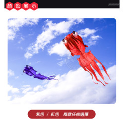大眼金魚造型風箏(軟式風箏)