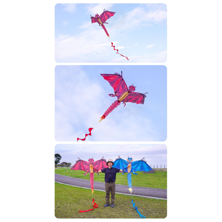 飛天恐龍造型風箏(157*278)(全配/附150米輪盤線) (無法超商取貨)