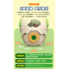 爆裂恐龍蛋存錢筒(密碼解鎖/8首音樂帶燈光/電子琴/養成存錢習慣)(33324)