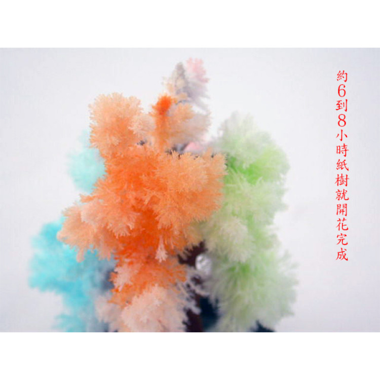 神奇魔法聖誕樹(紙樹開花)(科學玩具)(12入裝)