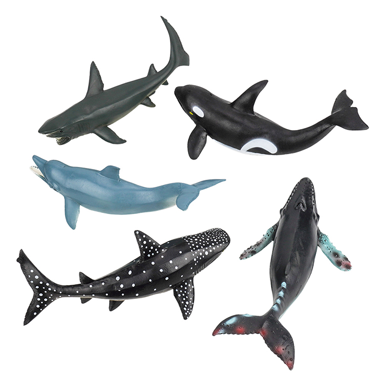 5入海洋鯨豚鯊魚模型(中型)(軟材質)(安全塑料)(HY8006)